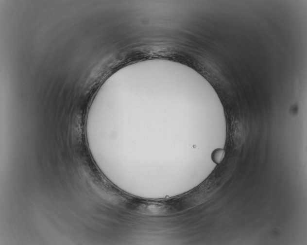 X0000116330506200912221423