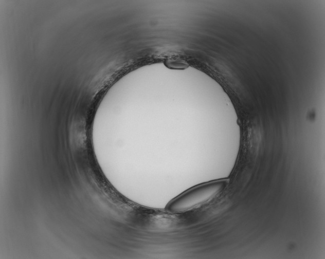 X0000116330508200912221423