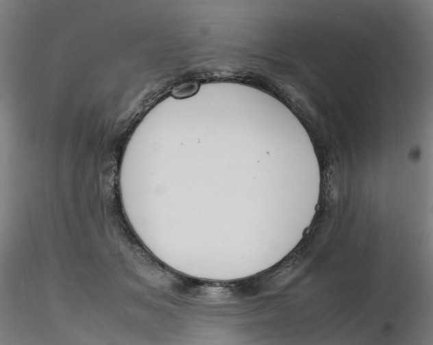 X0000116330509200912221423