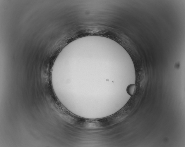 X0000116330510200912221423