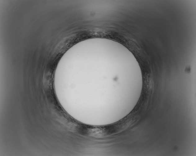 X0000116330511200912221423