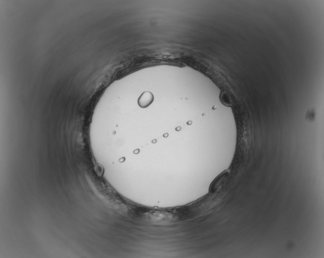 X0000116330512200912221423