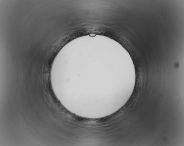 X0000116330513200912221423