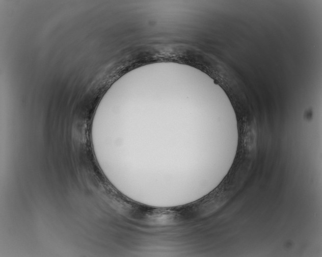 X0000116330514200912221423