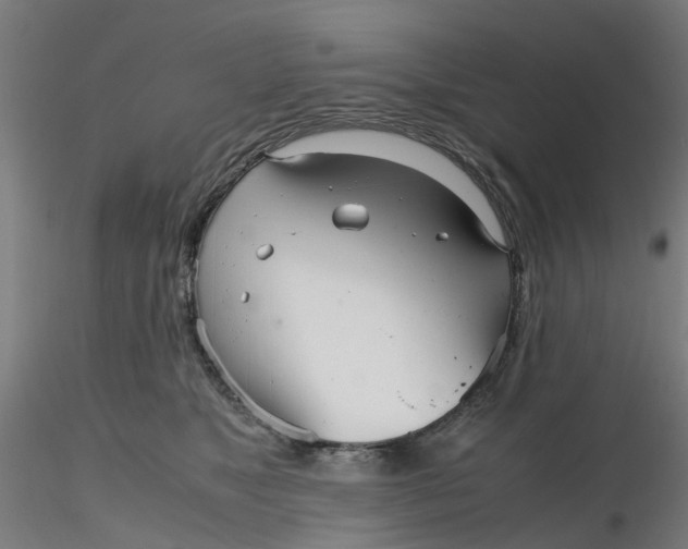 X0000116330517200912221422