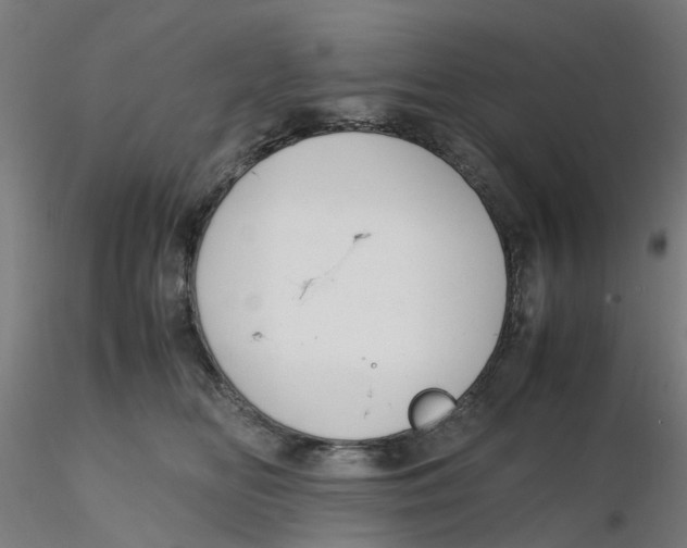 X0000116330518200912221422