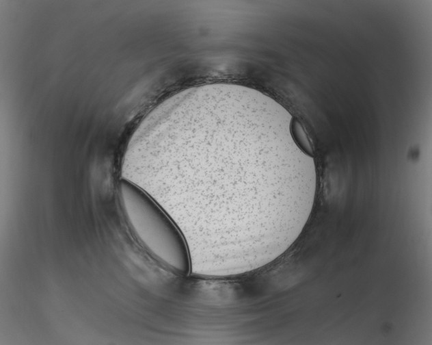 X0000116330520200912221422