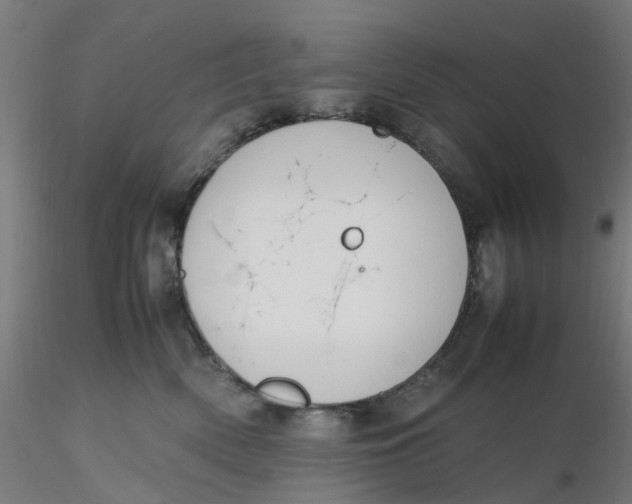 X0000116330522200912221422