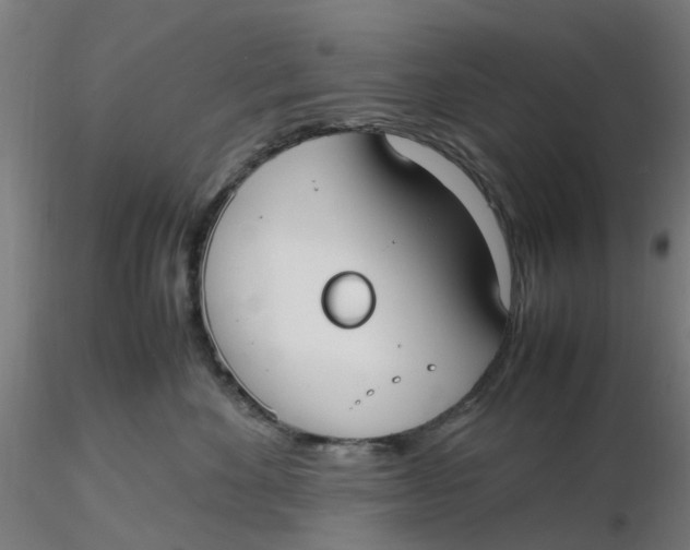 X0000116330524200912221422