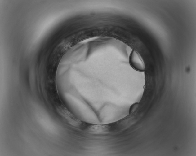 X0000116330526200912221422