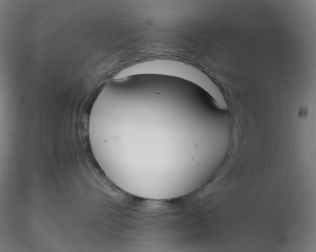 X0000116330528200912221422