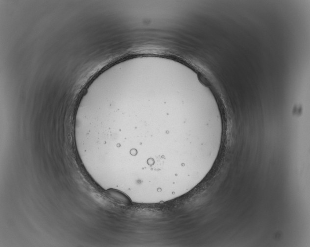 X0000116330529200912221422