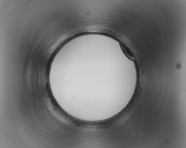 X0000116330530200912221422