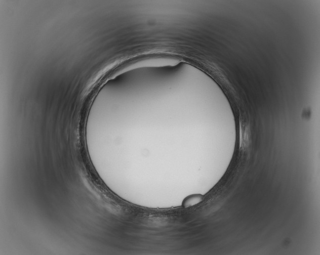 X0000116330531200912221422