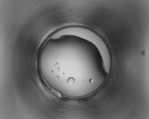 X0000116330534200912221422