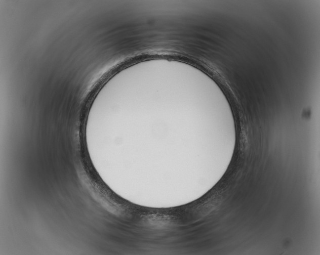 X0000116330535200912221422