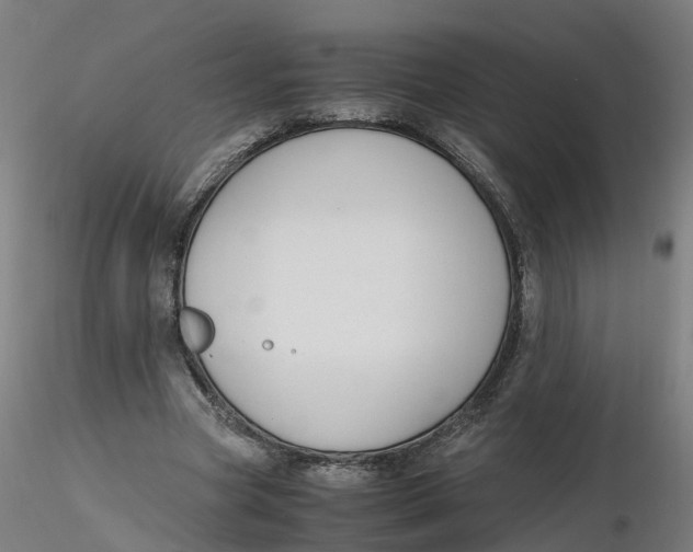 X0000116330537200912221422