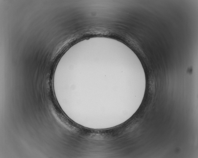 X0000116330538200912221422