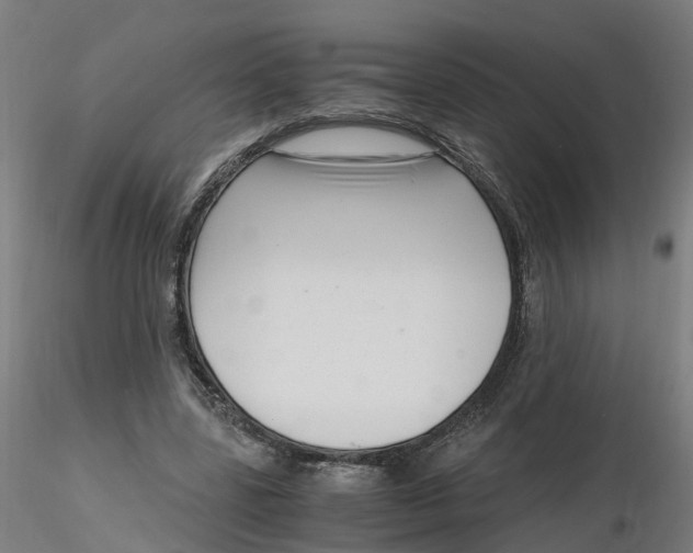 X0000116330539200912221422