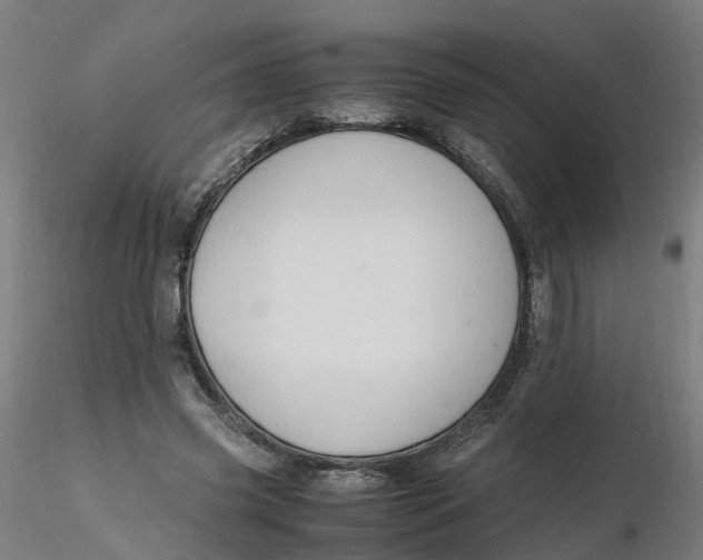 X0000116330541200912221422