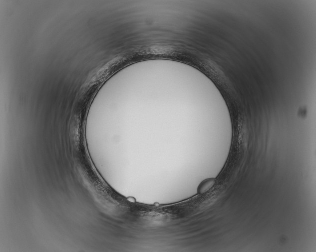 X0000116330542200912221422