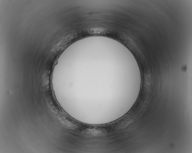 X0000116330545200912221422