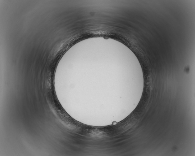 X0000116330547200912221422