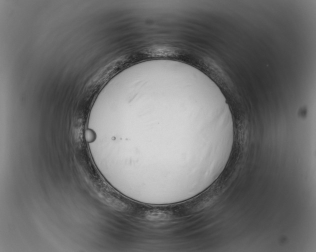 X0000116330549200912221422