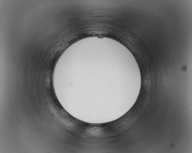 X0000116330551200912221422