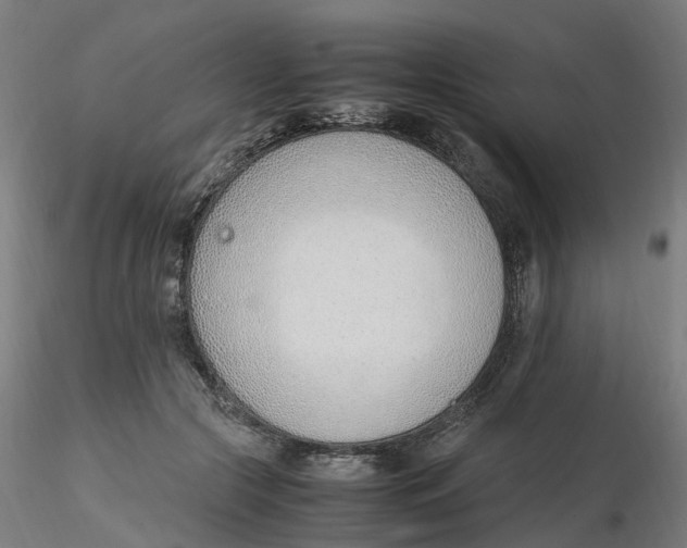 X0000116330553200912221422