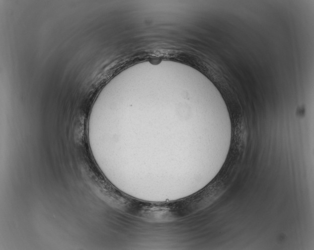 X0000116330554200912221422