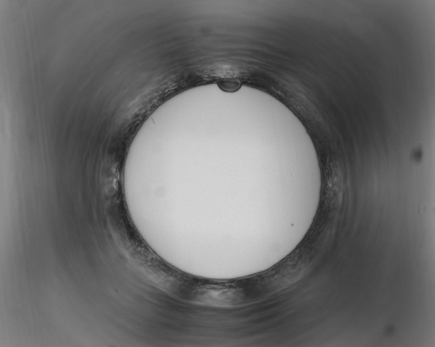 X0000116330555200912221422