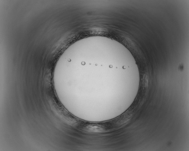 X0000116330557200912221422