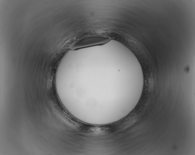 X0000116330558200912221422