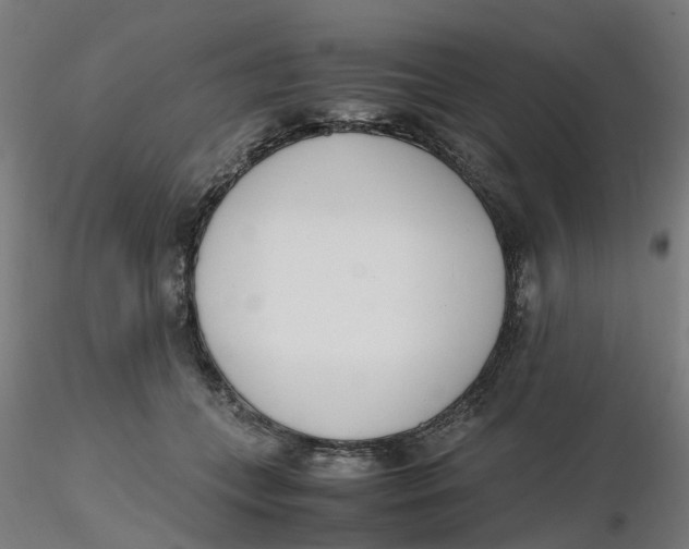 X0000116330559200912221422