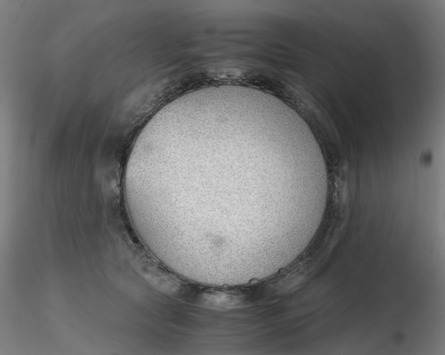 X0000116330561200912221422