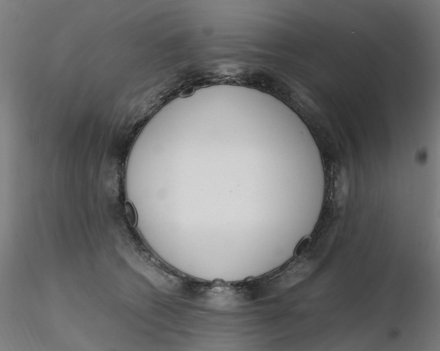 X0000116330562200912221422