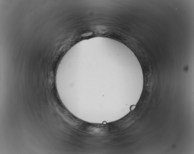 X0000116330563200912221422