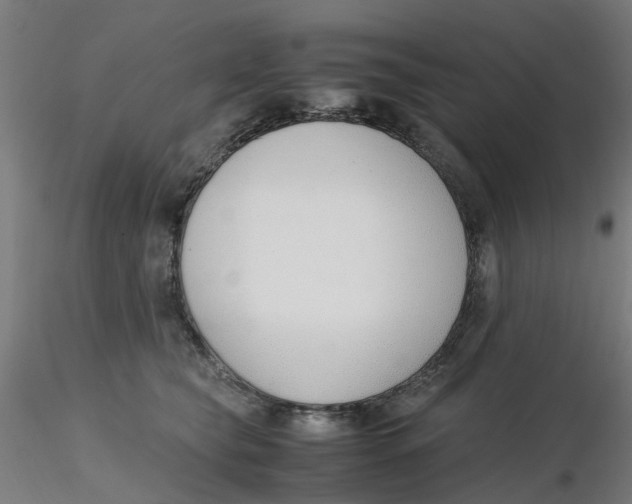 X0000116330565200912221422