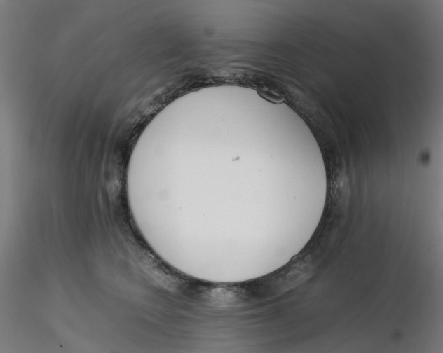 X0000116330566200912221422