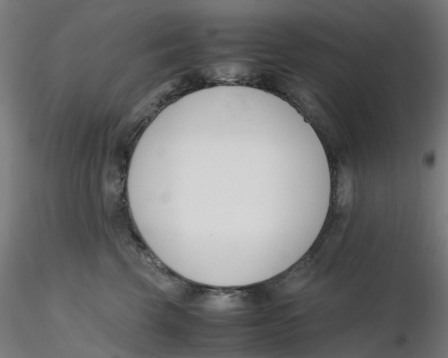 X0000116330569200912221422