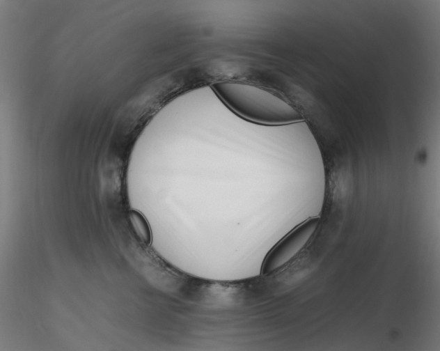 X0000116330570200912221422