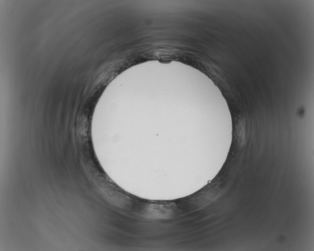 X0000116330571200912221422