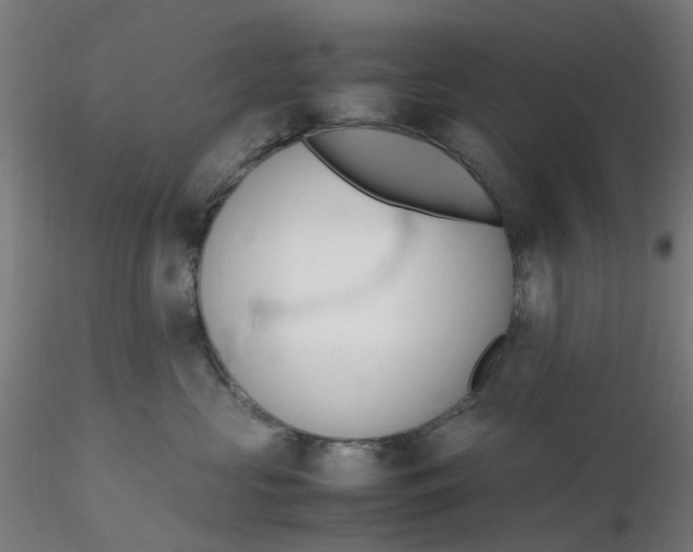 X0000116330573200912221422