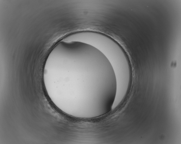 X0000116330577200912221422