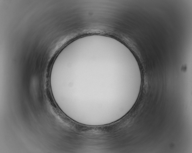 X0000116330578200912221422