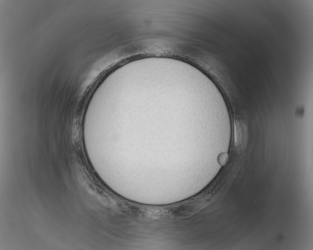 X0000116330579200912221422