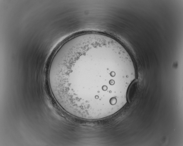 X0000116330580200912221422