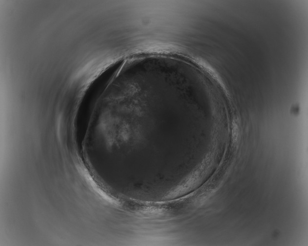 X0000116330581200912221422