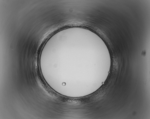 X0000116330582200912221422